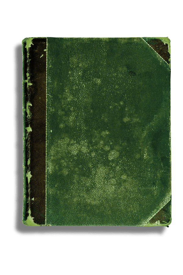 Magical Herbalism & Potionry cover